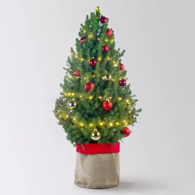 Weihnachtsbäumchen inkl. Deko, rot-gold, Topf-Ø 25 cm, Höhe ca. 100 cm