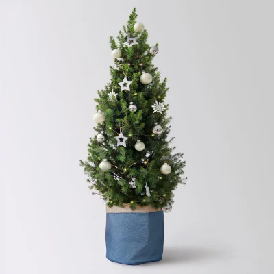 Weihnachtsbäumchen inkl. Deko, silber-weiß, Höhe 120 cm, Topf-Ø 26 cm