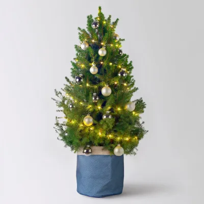 Weihnachtsbäumchen weiß-silber, Topf-Ø 25 cm, Höhe ca. 100 cm
