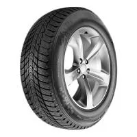 Winguard Ice Plus 195/65 R15 95T