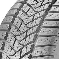 Winter Sport 5 255/45 R18 103V