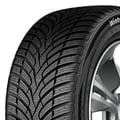 WinterDrive Sport 255/45 R20 105W