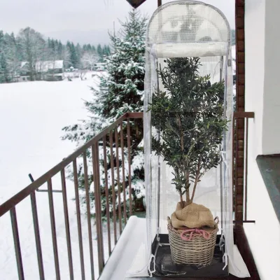 Winterschutz Frostschutzhaus 'Snow', transparent, T48 x B58 x H200 cm