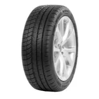 Wintoura + 225/55 R17 101V