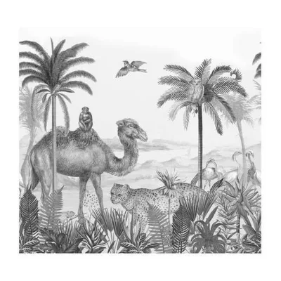 Xora Fototapete Grau, Schwarz, Weiß 300x280 cm