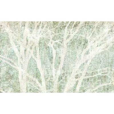 Xora Vliestapete Grün, Weiß 400x250 cm