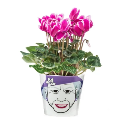 XXXLutz Blumentopf Mehrfarbig 10 cm