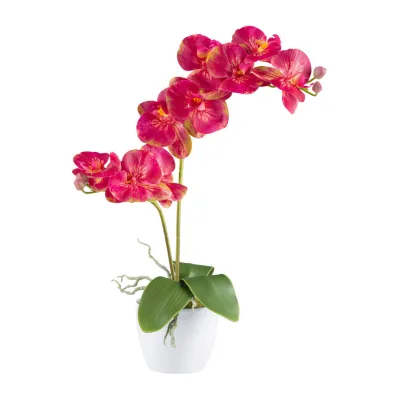 XXXLutz Kunstpflanze Gelb, Pink, Grün 57 cm