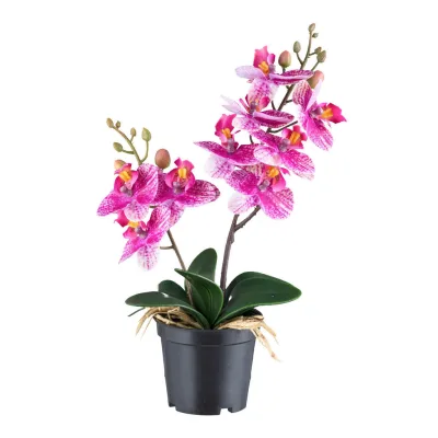 XXXLutz Kunstpflanze Pink, Grün, Schwarz 28 cm