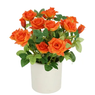 XXXLutz Rosenbusch Orange 18x21 cm