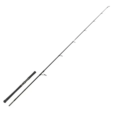 Zeck Evo Cat Spin 243cm 20-120g Welsrute Wallerrute