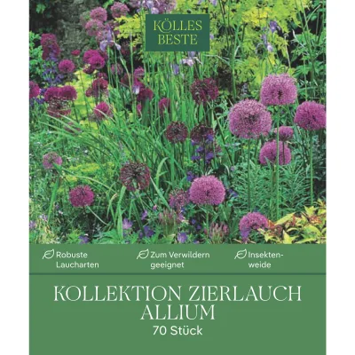 Zierlauch-Kollektion 70 Alliumzwiebeln